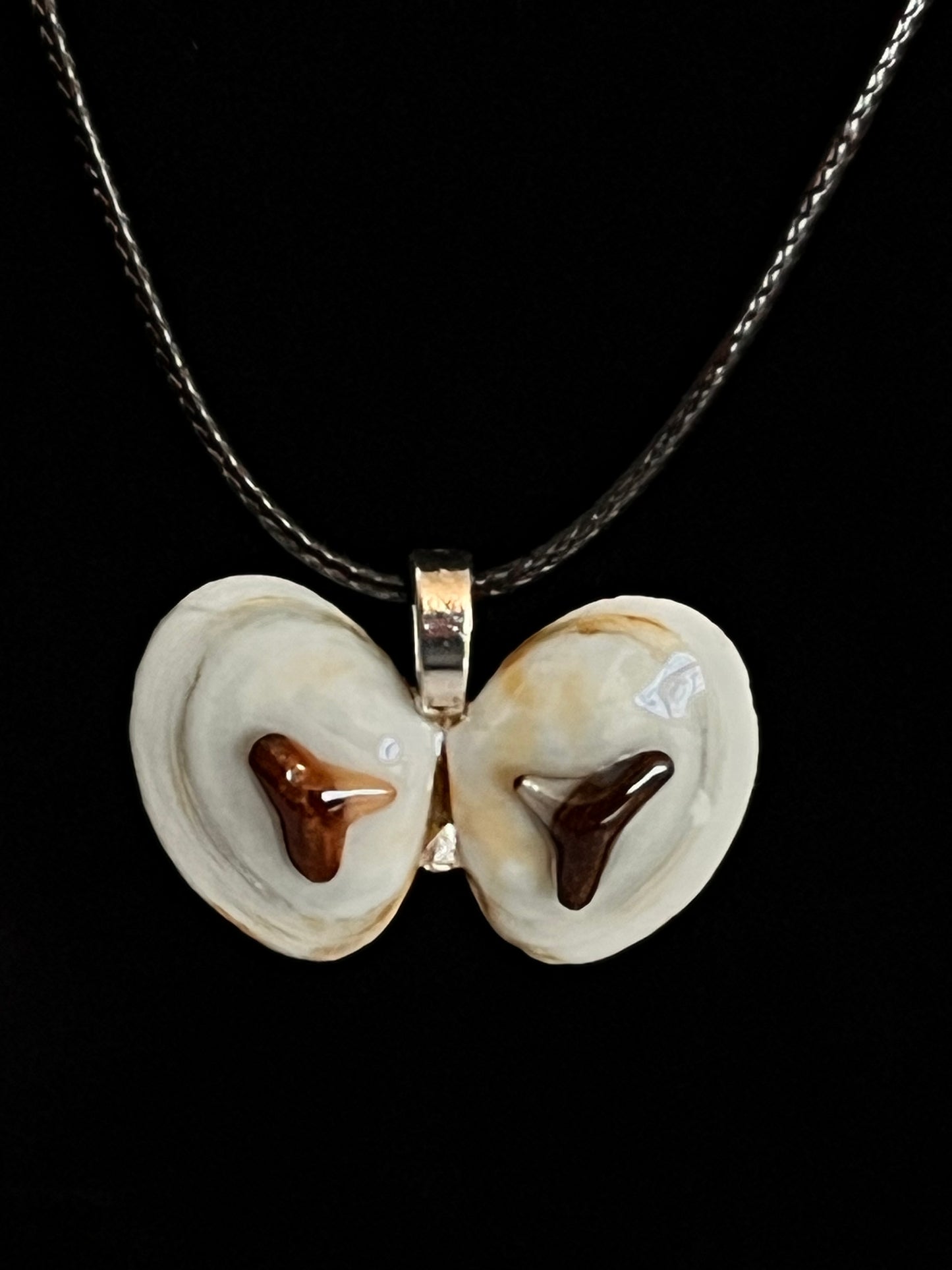 Pendant - Shark Teeth on Shell-1