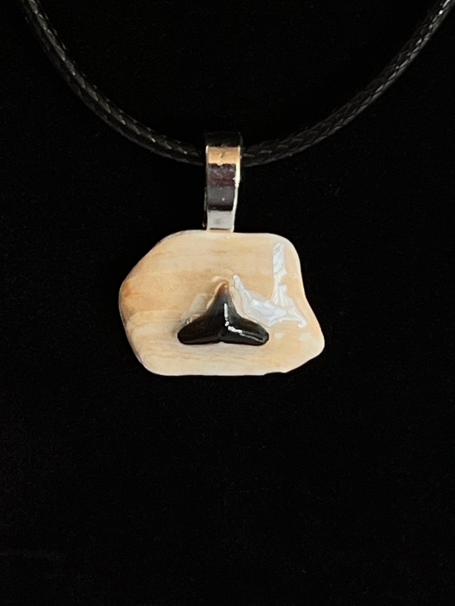 Pendant - Shark Teeth on Shell-2