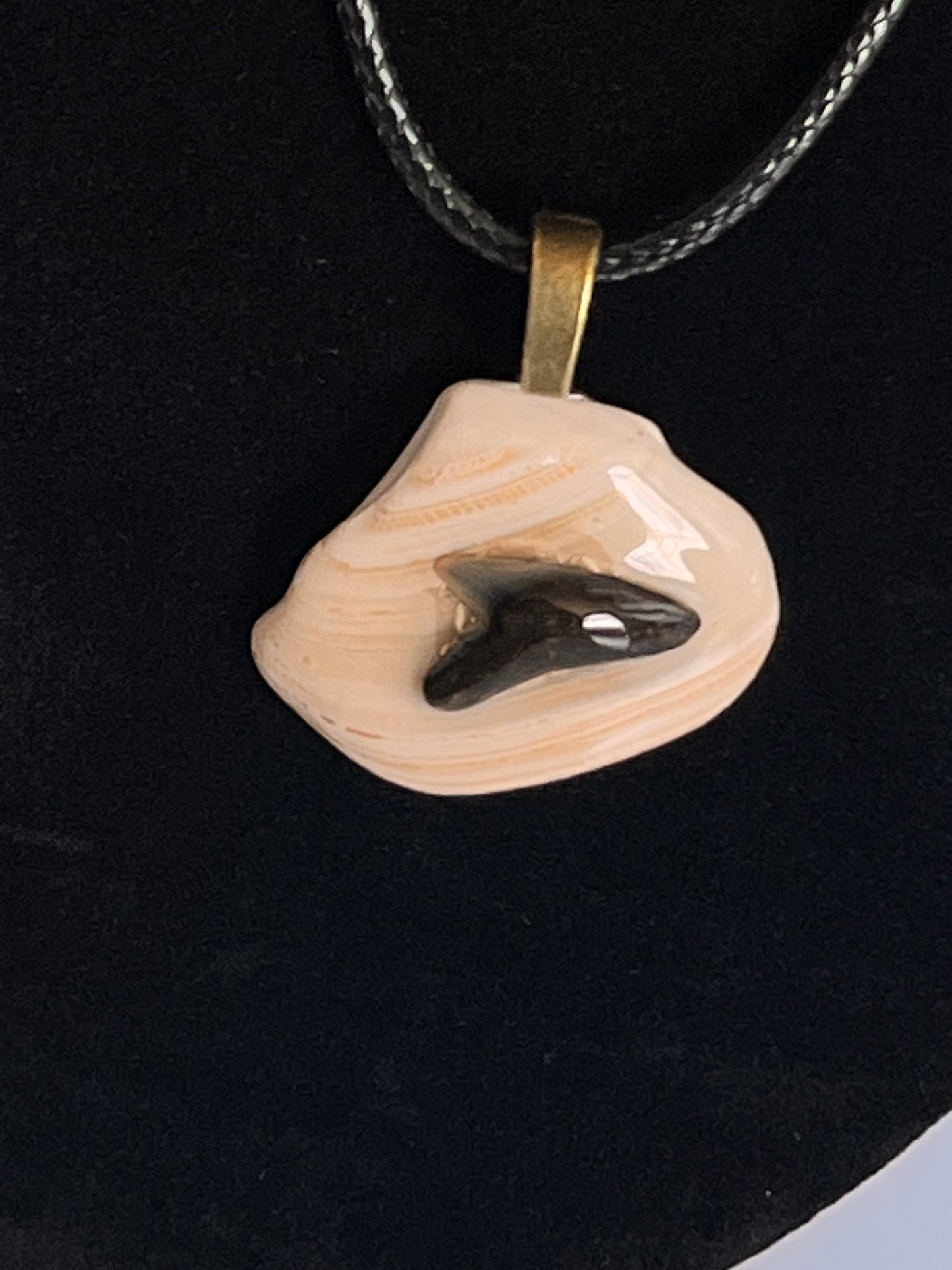 Pendant - Shark Teeth on Shell-3