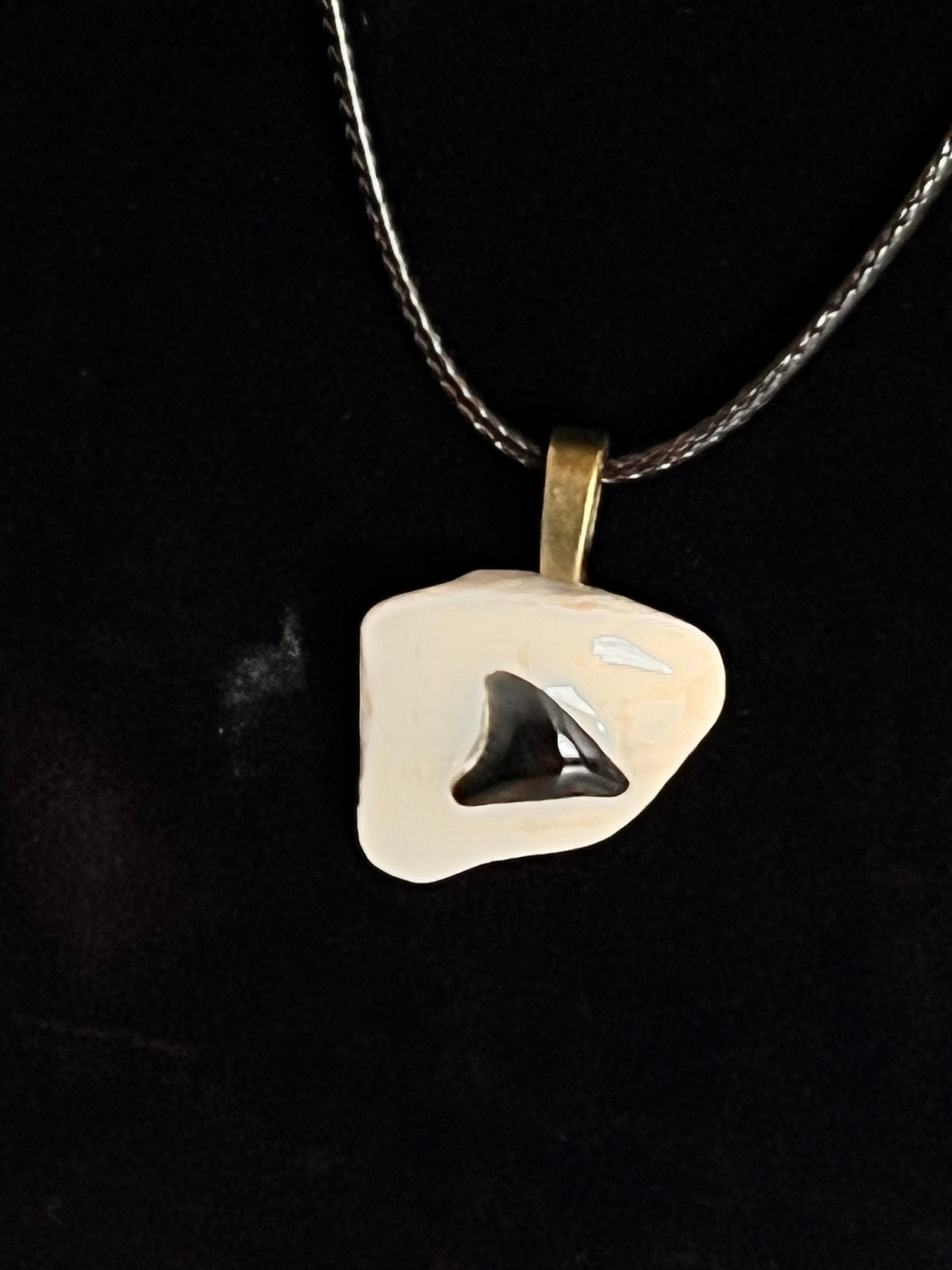 Pendant - Shark Teeth on Shell-4