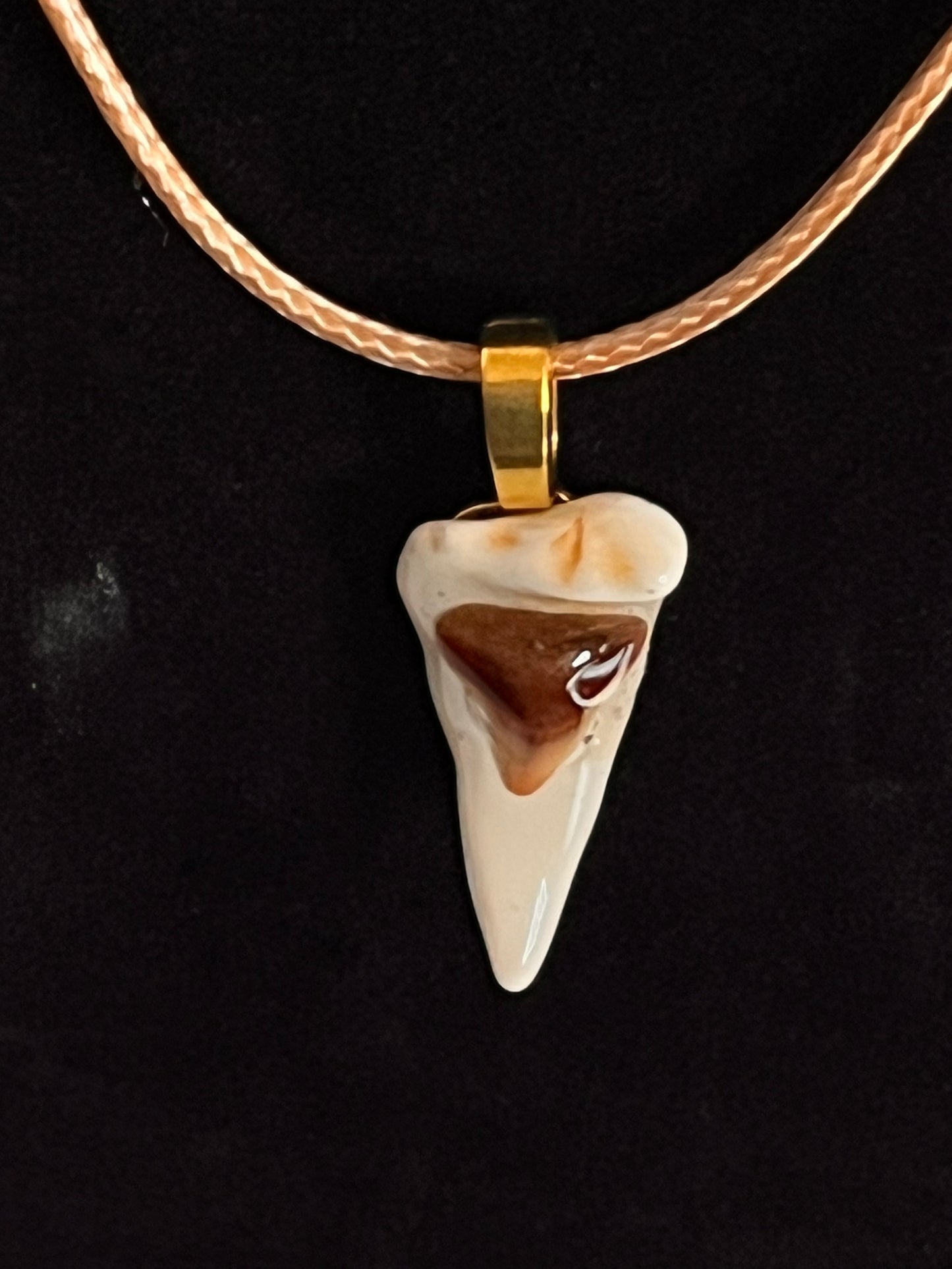Pendant - Shark Teeth on Shell-6