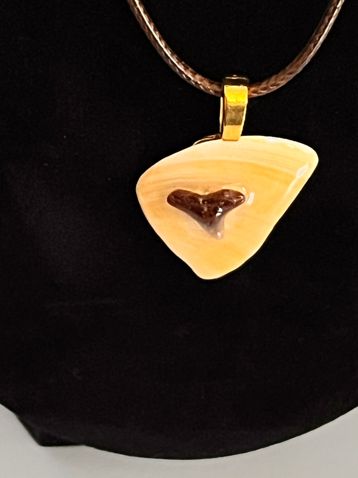 Pendant - Shark Teeth on Shell-7