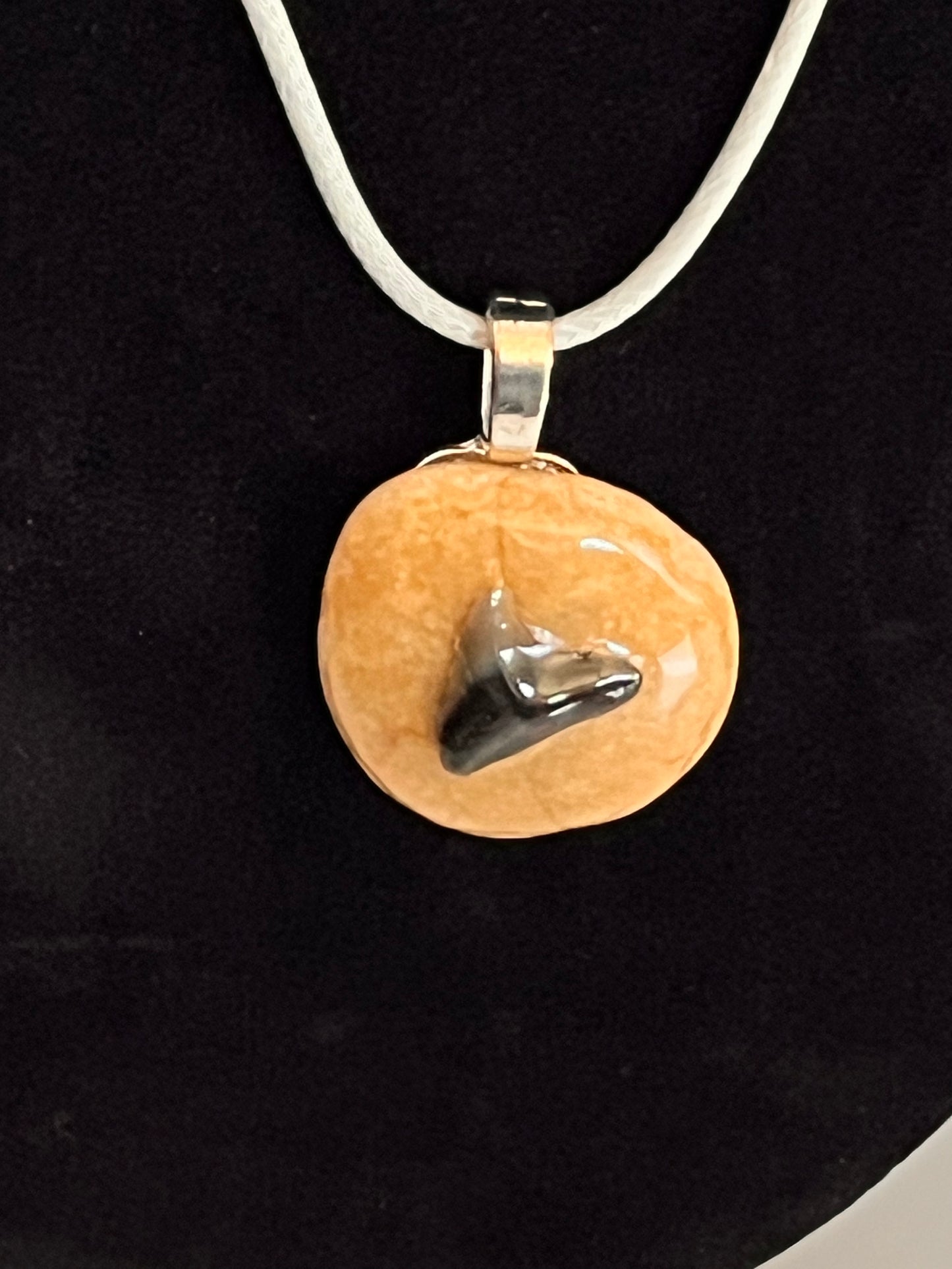 Pendant - Shark Teeth on Rock-2